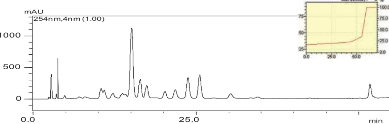 Figura 30: Cromatograma da fração Fr-ACOEt de S. denudatum obtido por CLAE-DAD  registrado a 366 nm