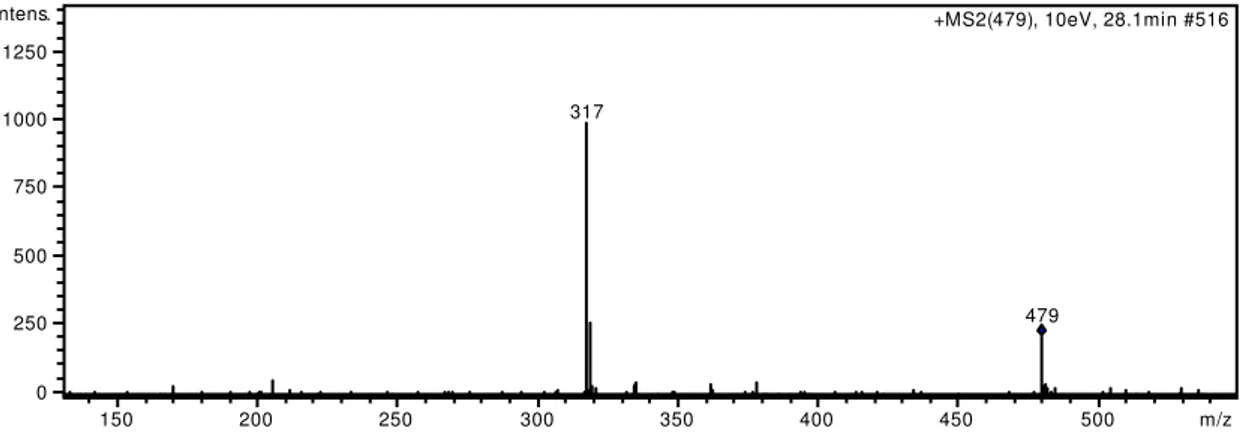 Figura 23: Fragmentograma da antocianina (7): petunidina-glicosídeo [EM/EM por íons  precursores de 479 por ESI-ToF-positivo (10eV)]