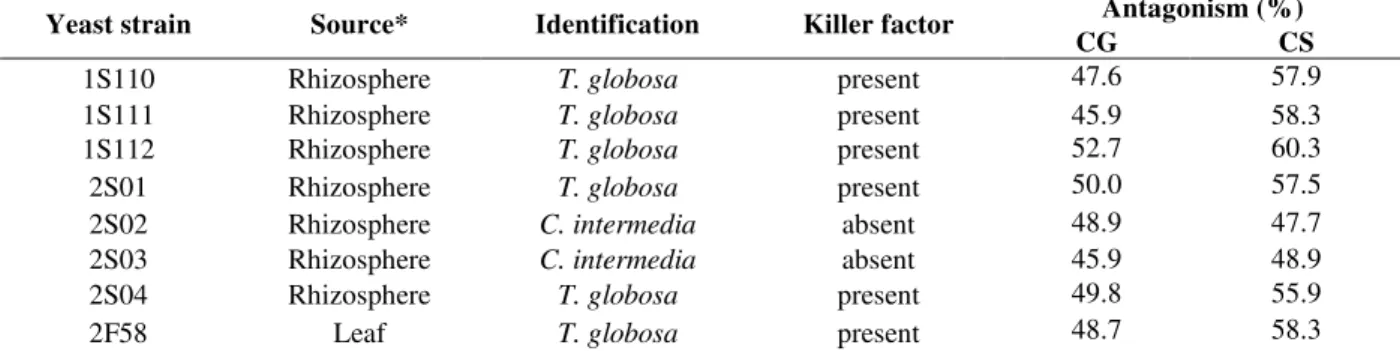 Table  1  -  Yeast  strains  source,  identification,  killer  activity  and  antagonism  percentage  against  Colletotrichum  graminicola (CG) and Colletotrichum sublineolum (CS)