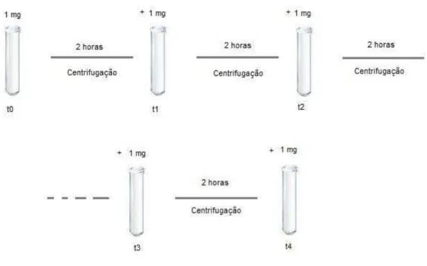 Figura  13.  Protocolo  2,  no  qual  procede-se  o  acréscimo  sequencial  de  1  mg  de  Saccharomyces  cerevisiae ao tubo com corante