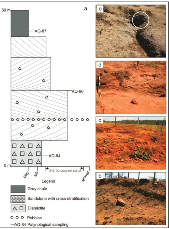 Figure 2 - Outcrops and general stratigraphy. (a) Columnar section of the outcrops sampled along  the Road MS-447; (b) AQ-84: diamictites with submetric clasts; (c and d) AQ-86: medium to thick  sandstones, with dispersed clasts and planar/trough cross-str