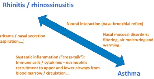 Figure 3 – Nose-lung interaction mechanisms (21, 23)