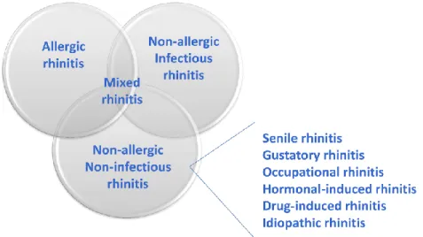 Figure 4 – Classification of rhinitis (adapted from  (26) ) 