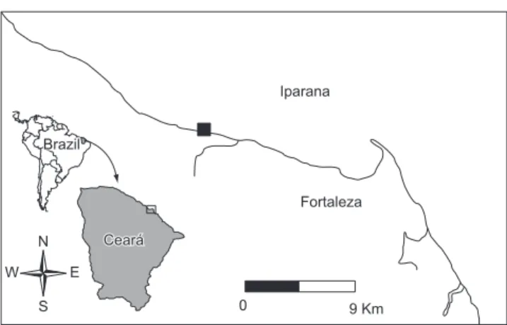 Figure 1. Iparana beach, state of Ceará, NE Brazil.