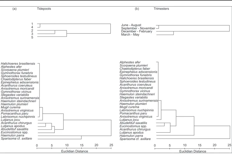 Figure 4.  Dendrogram of results of cluster analysis (Euclidean distance, average linkage clustering method - UPGMA) of fish abundances by tidepools (a) and  trimesters (b) at Iparana beach from June 1998 to May 1999