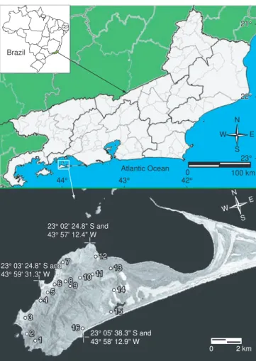 Figure  1. Map  of  the  State  of  Rio  de  Janeiro,  showing  the  location  of   Marambaia, which is enlarged and shown in more details