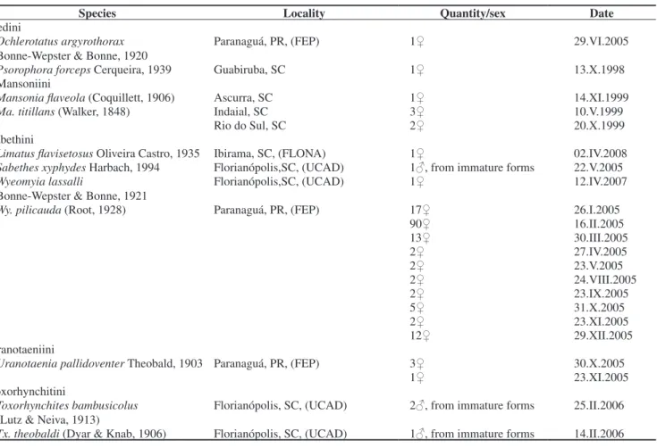 Table 3. Species of Ochlerotatus, Psorophora, Mansonia, Limatus, Sabethes, Wyeomyia, Uranotaenia and Toxorhynchites reported in Santa Catarina and/or  Paraná states.