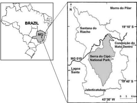 Figure 1. Map of Serra do Cipo´ region, Minas Gerais state, southeastern Brazil. Sites used in this study were situated in Serra do Cipo´ National Park, municipalities borders and along the road (MG 010).