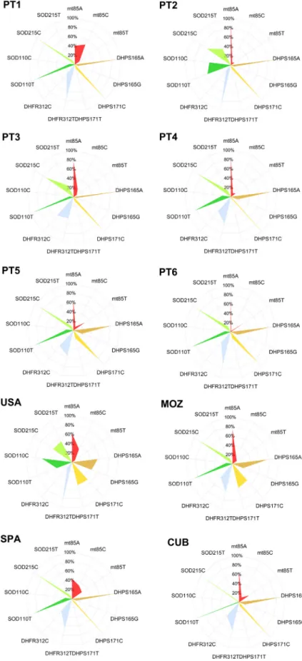 FIG. 1. Graphic representation of Pneumocystis jir- jir-ovecii single nucleotide polymorphism alleles relative frequencies among the different pools studied