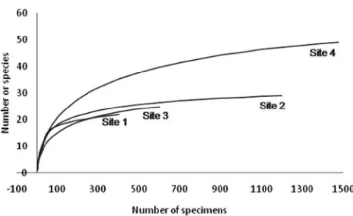 Figure 2. Rarefaction curves for the four sampling sites on the Cabec¸a River, Corumbataı´ basin.