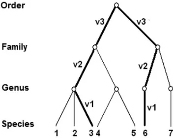 Figure 1. Example of Taxonomic tree with a sample of 7 species showing the definition for steps (p1 - p6) traveled through hierarchical levels between a pair of species (in this case 3 and 6)