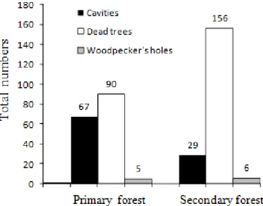 Table 1 - Average and standard deviation values for cavities measures in different successional stages.