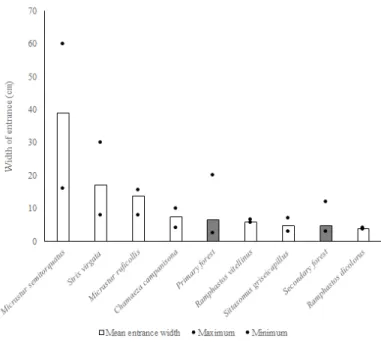 Figure 4. Comparisons of the smaller entrance diameters of cavities used by  bird species occurring in PECB, and diameters found for cavities available in  primary and mid-successional stage Atlantic Forest areas (Lange 1967, Lill 1968,  Thorstrom et al