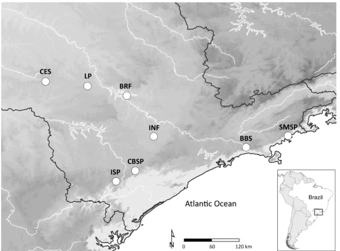 Figure 3. Cluster analysis of bird species richness similarity between eight Atlantic  Forest remnants in São Paulo, southeastern Brazil