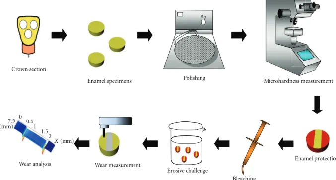 Figure 1: Schematic representation of sample preparation and analysis.