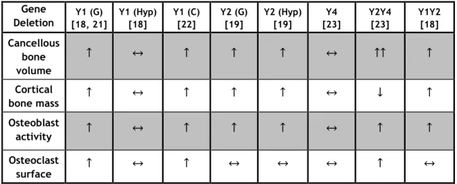 Table  I.  Summary  of  bone  phenotypes  from  mice  after  deletion  of  Y  receptors