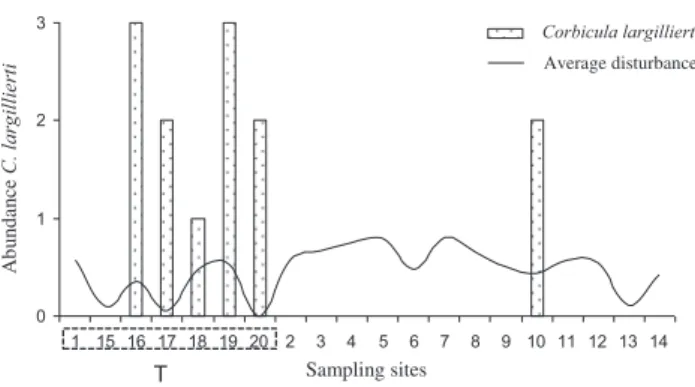 Figure 4. Sampling sites and occurrence of C. largillierti. Places near tributaries have a higher number of occurrences (T represents the nearby tributaries).