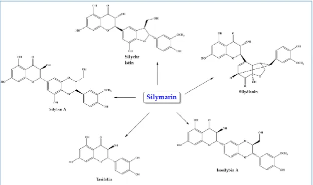 Figure 5. Chemical structures of compounds with antioxidant properties against schistosomiasis.