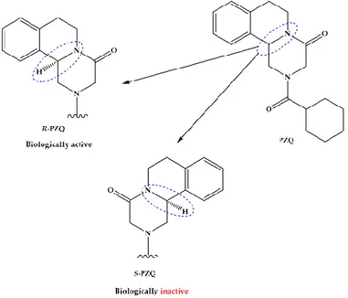 Figure 1. Chemical structures and characteristics of praziquantel and its enantiomers, R-PZQ and S- S-PZQ