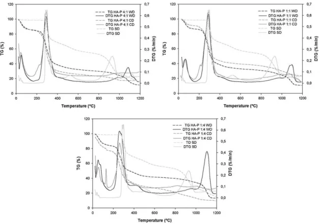 Fig. 2. Thermogravimetric analysis (TG/DTG) of samples.