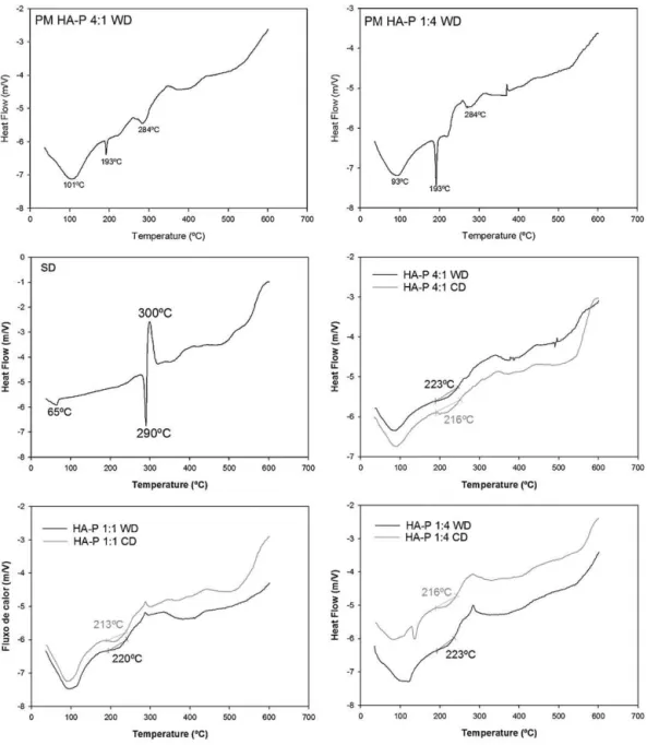 Fig. 3. DSC curves of samples.