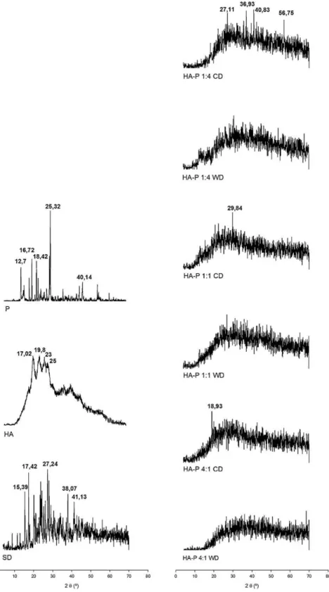 Fig. 4. X-ray diffraction patterns of samples.