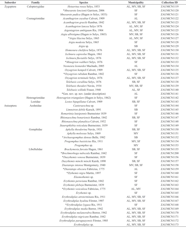 TABLE 1: Preliminary species list from the Pampa biome in Rio Grande do Sul, Brazil. Municipalities of occurrence and voucher/collection numbers
