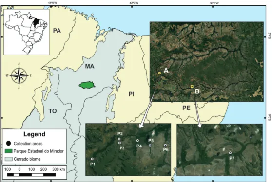 Figure 1. Map featuring the Parque Estadual do Mirador (PEM), state of Maranhão, Northeastern Brazil (in green)