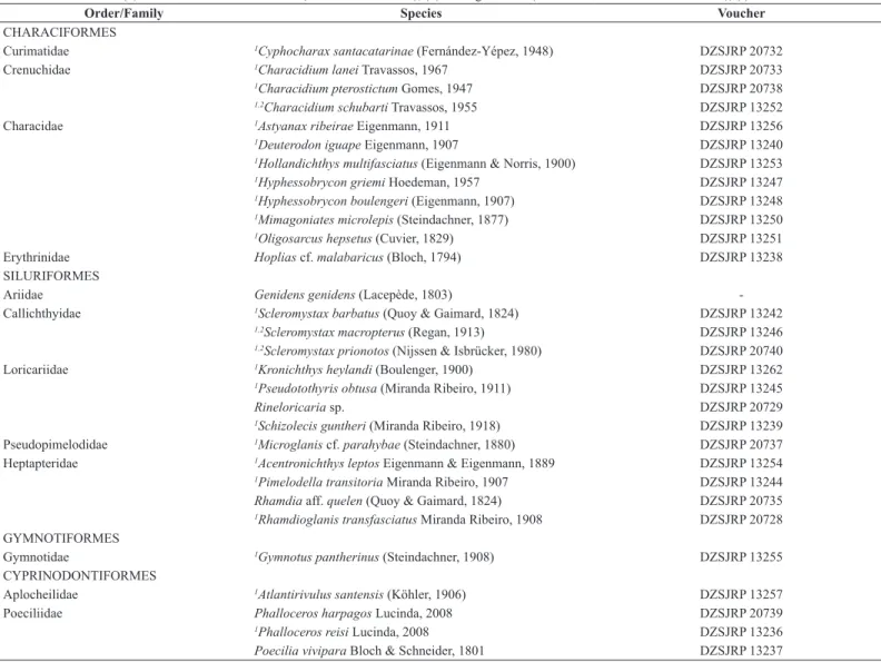 Table 1. The thirty-nine fish species registered in the coastal freshwater streams from Juréia-Itatins Ecological Station, a large conservation area of Atlantic rainforest  of southeastern Brazil