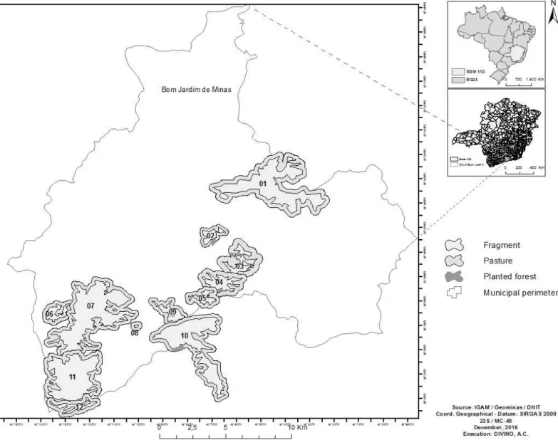 Figure 1: Map of Brazil indicating the Atlantic Forest fragments studied (F1 to F12) in the southeast of the state of Minas Gerais