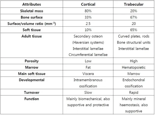 Table  2.1  -  Differences  between  human  cortical  and  cancellous  bone.  Adapted  from (15)