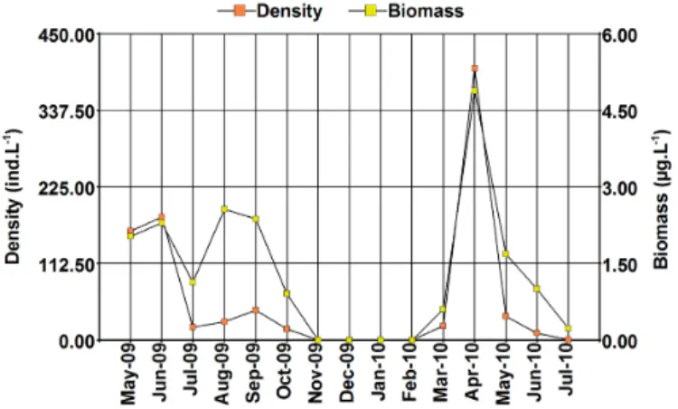 Figure 6. Variation of density and total biomass of Artemia persimilis in Utracán  Lake during the study