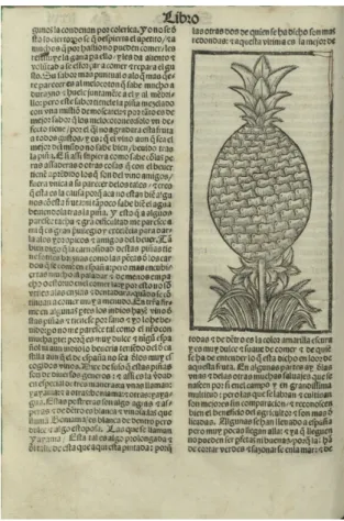 Figure 1. “Piña”—the first depiction of the pineapple in a printed text appeared in Gonzalo de  Oviedo’s Historia General de las Indias (Oviedo y Valdés 1535) (courtesy of the Biblioteca Nacional de  Lisboa Res 4058)