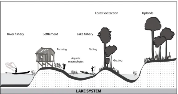 Figure 2: Environment and land uses in the lower Amazon River floodplains