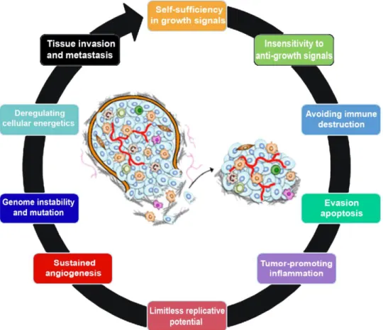 Figure 1. The hallmarks of cancer. This illustration encompasses the ten hallmark capabilities currently  proposed