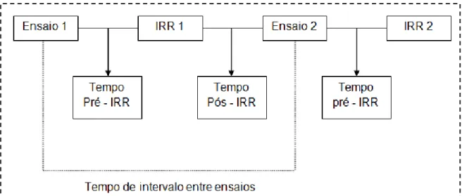 Figura  1  –  Representação  esquemática  das  variáveis  temporais  da  IRR  (adaptado  de  Mendes, 1998, p.24) 
