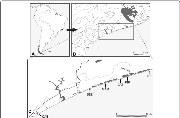 Figure 1 Study area in northern state of Rio de Janeiro, Brazil (A) and location of the studied coastal lagoons (B-C)