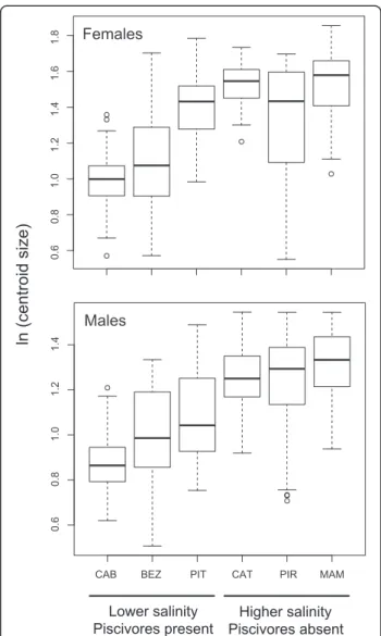 Figure 3 Boxplot showing patterns of body size variation, measured using natural logarithm of the centroid size (CS), for females and males (median ± quartiles; whiskers: data range;