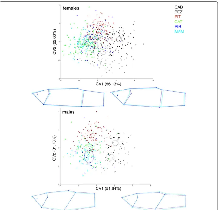 Figure 4 CVA ordination showing the axis of major shape variation among the six populations studied