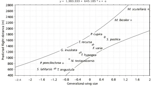 Fig. 2 — Maximum flight distances for 12 species of Meliponini estimated using a linear regression model