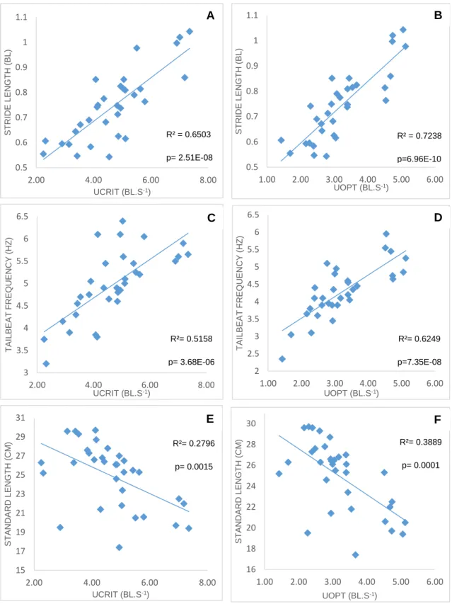 Figure  11: Relationships  between  (A  and  B)  Ucrit/Uopt  and  Stride  Length,  (C  and  D)  Ucrit/Uopt  and  TBF,  (E  and  F)  Ucrit/Uopt and Standard Length