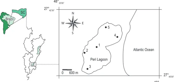 Figure 1. The map of the sampling sites in Peri lagoon (27° 44’ S and 48° 31’ W), southern region of Florianópolis  Island (Santa Catarina, Brazil).