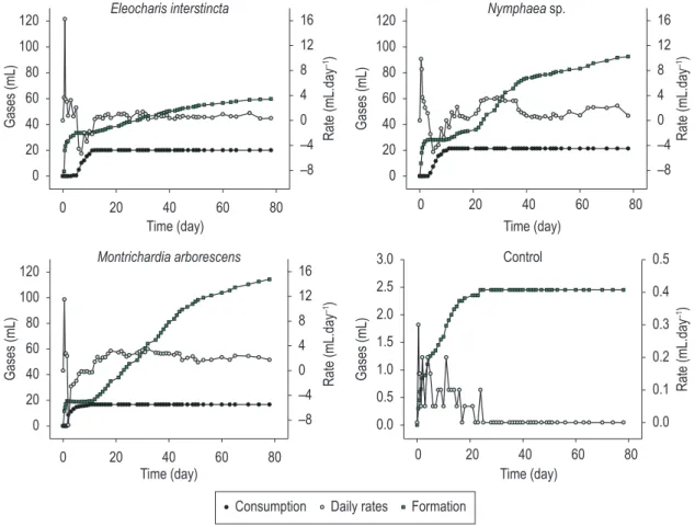 Figure 2. Gases formation and consumption during anaerobic decomposition of E. interstincta, Nymphaea sp