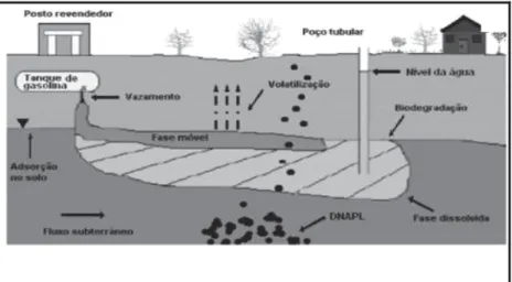 Figura 9 - Fases de contaminação de solo e água subterrânea por hidrocarbonetos (Forte et al.,  2007)