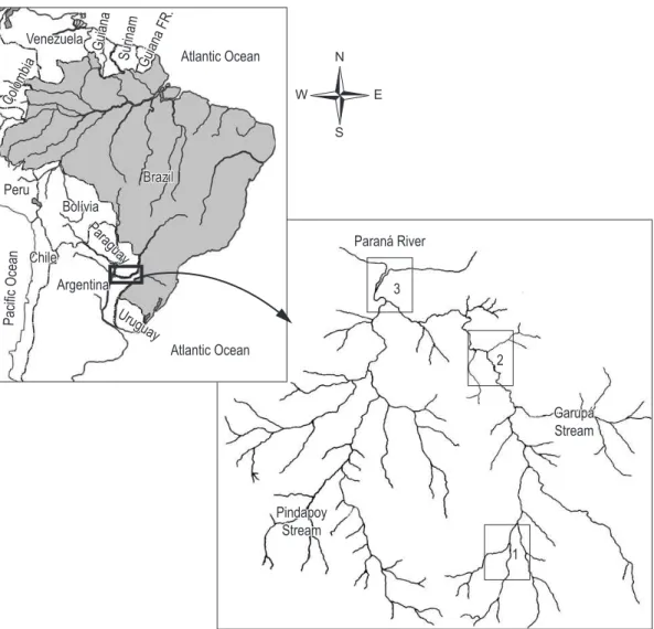 Figure 1. The study area with the sampling sites in Garupá Stream: 1) High Basin; 2) Middle Basin; and 3) Low Basin.