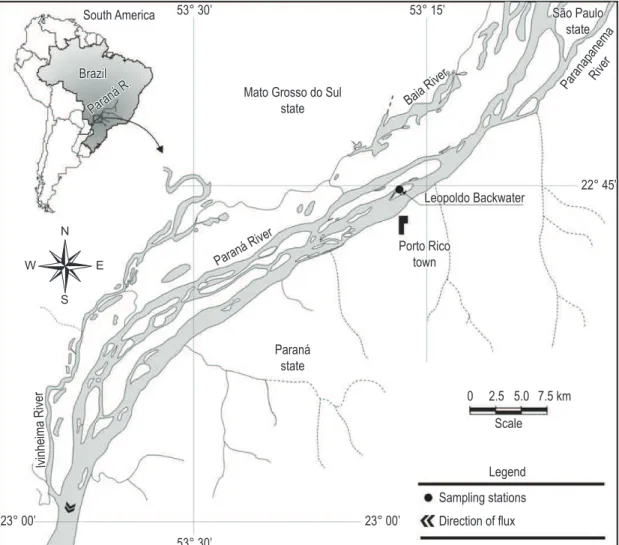 Figure 1. Study area and location of the sampling site in the upper Paraná River floodplain, Brazil