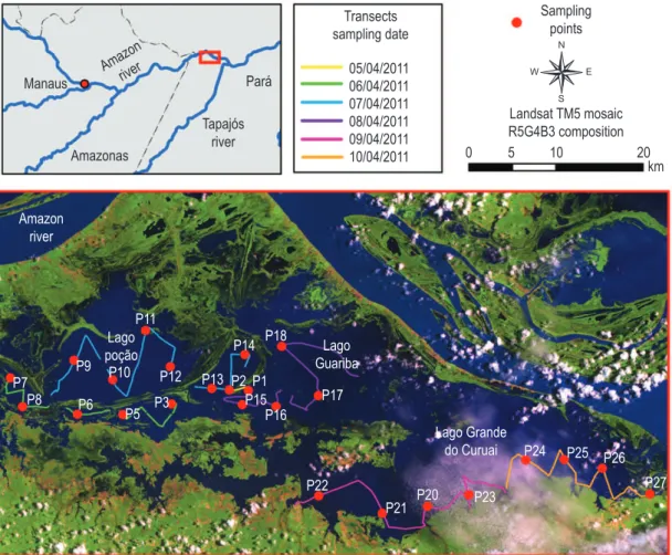 Figure 1. Study area with the location of sampling points (red dots) and fluorescence transects (yellow, green, blue,  purple, pink and orange)