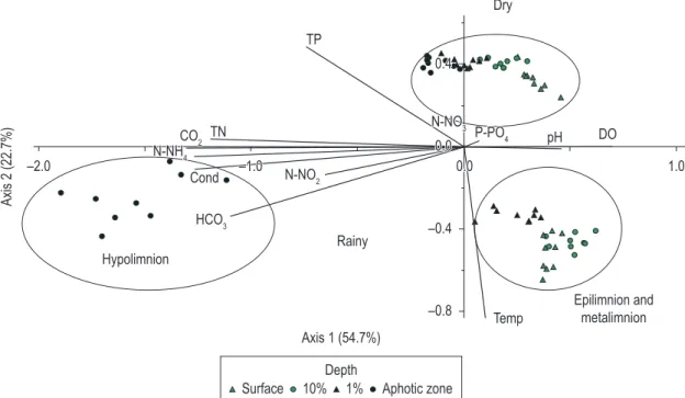 Figure 4. PCA ordination diagram of the sampling units for the abiotic variables in Carioca Lake, emphasizing the  depths.