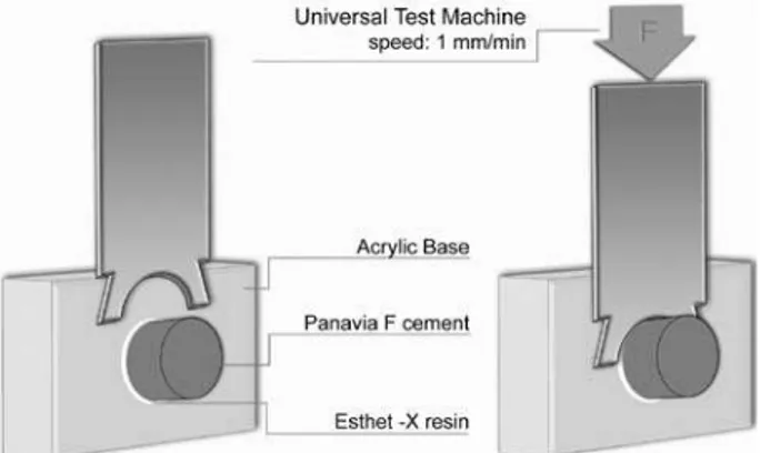 Figure 1. Diagrammatic illustration showing the shear test.