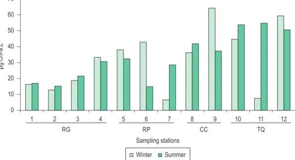 Figure 3. Chorophyll-a concentrations at the water surface in the Billings Complex during winter and summer periods